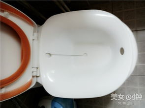 改善衛生間的創意選擇 馬桶專用洗浴盆使用評測